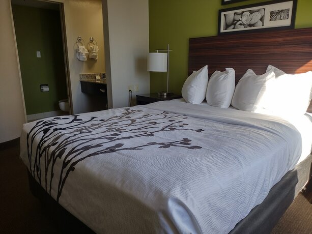 Imagen de la habitación del Hotel Sleep Inn, Southern Gateway. Foto 18