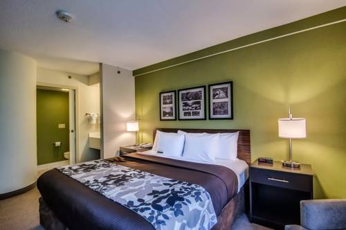 Imagen de la habitación del Hotel Sleep Inn Staunton. Foto 3