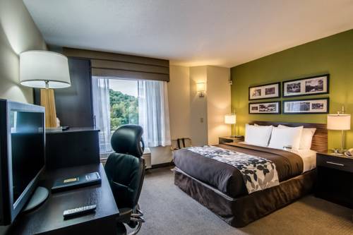 Imagen de la habitación del Hotel Sleep Inn Staunton. Foto 5