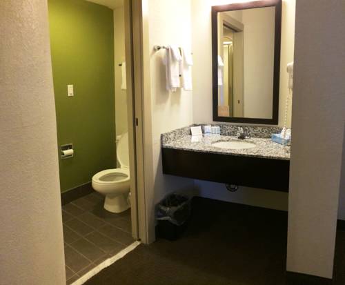 Imagen de la habitación del Hotel Sleep Inn Tanglewood. Foto 2