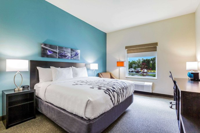 Imagen de la habitación del Hotel Sleep Inn Winfield - Teays Valley. Foto 11