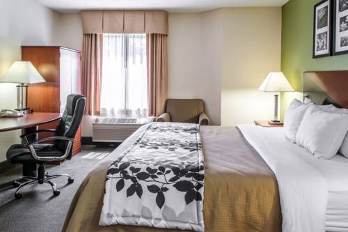 Imagen de la habitación del Hotel Sleep Inn Wytheville I-77 and I-81. Foto 4