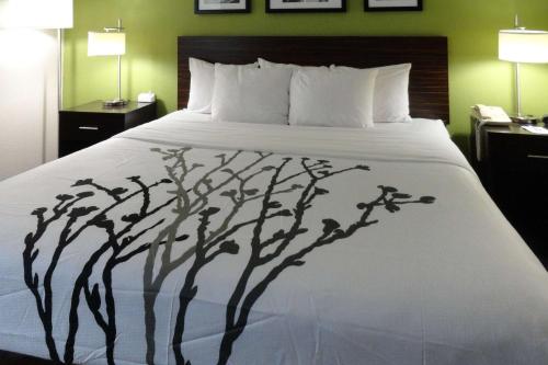 Imagen de la habitación del Hotel Sleep Inn & Suites, Columbus. Foto 7