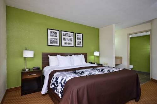 Imagen de la habitación del Hotel Sleep Inn & Suites, Cullman. Foto 4
