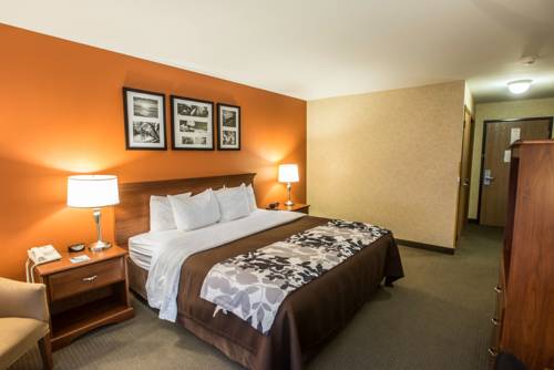Imagen de la habitación del Hotel Sleep Inn & Suites Hays. Foto 4