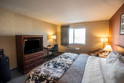 Imagen de la habitación del Hotel Sleep Inn & Suites Hays. Foto 9