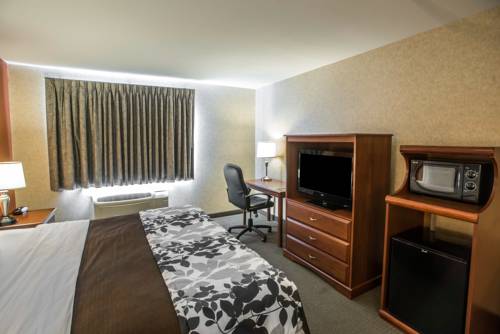 Imagen de la habitación del Hotel Sleep Inn & Suites Hays. Foto 12