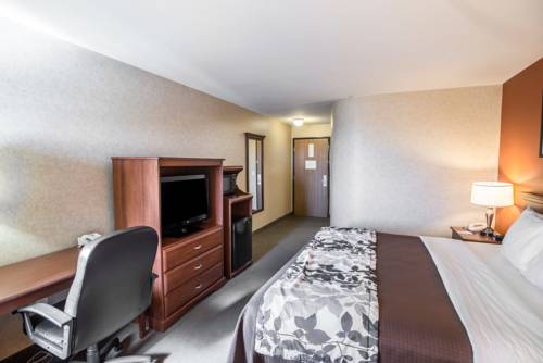 Imagen de la habitación del Hotel Sleep Inn & Suites Hays. Foto 16