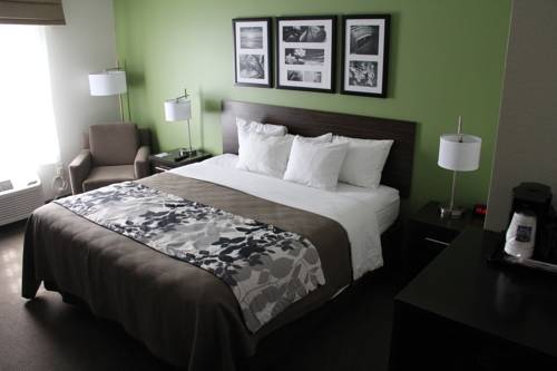 Imagen de la habitación del Hotel Sleep Inn & Suites Haysville. Foto 5