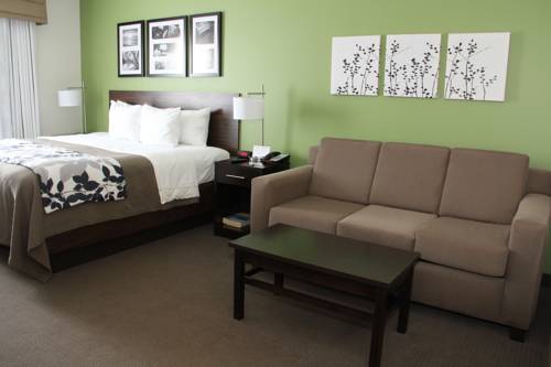 Imagen de la habitación del Hotel Sleep Inn & Suites Haysville. Foto 6