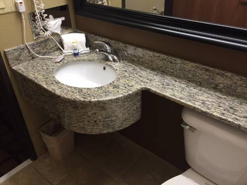 Imagen de la habitación del Hotel Sleep Inn & Suites Kalamazoo Southwest. Foto 5