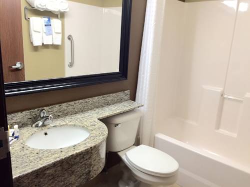 Imagen de la habitación del Hotel Sleep Inn & Suites Kalamazoo Southwest. Foto 7