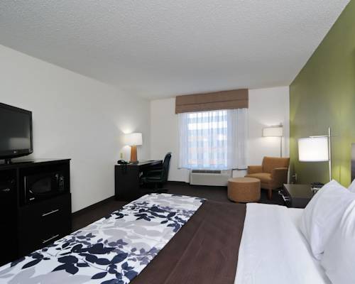 Imagen de la habitación del Hotel Sleep Inn & Suites Lexington. Foto 3