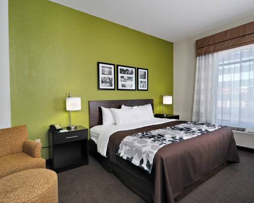 Imagen de la habitación del Hotel Sleep Inn & Suites Lexington. Foto 5