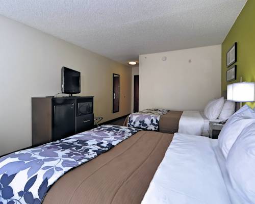 Imagen de la habitación del Hotel Sleep Inn & Suites Lexington. Foto 9