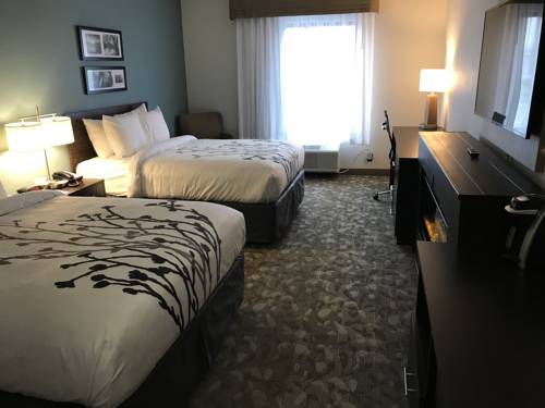 Imagen de la habitación del Hotel Sleep Inn & Suites Middletown - Goshen. Foto 3