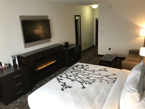 Imagen de la habitación del Hotel Sleep Inn & Suites Middletown - Goshen. Foto 6