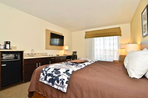 Imagen de la habitación del Hotel Sleep Inn & Suites Miles City. Foto 6