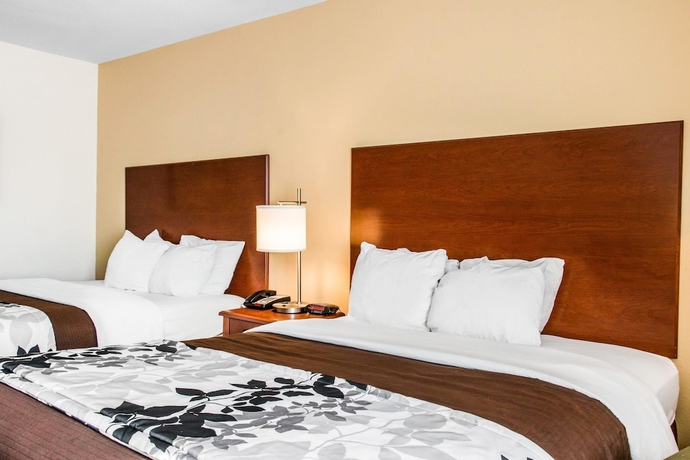 Imagen de la habitación del Hotel Sleep Inn & Suites Pooler. Foto 5