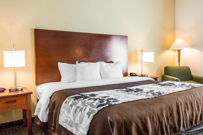 Imagen de la habitación del Hotel Sleep Inn & Suites Pooler. Foto 6