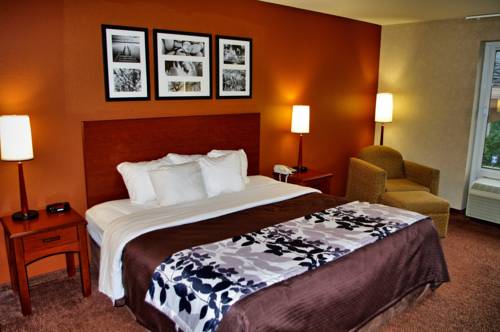 Imagen de la habitación del Hotel Sleep Inn & Suites Scranton Dunmore. Foto 5