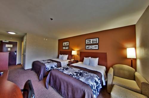 Imagen de la habitación del Hotel Sleep Inn & Suites Scranton Dunmore. Foto 7