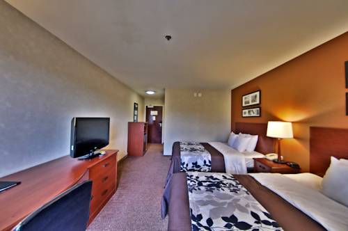 Imagen de la habitación del Hotel Sleep Inn & Suites Scranton Dunmore. Foto 8