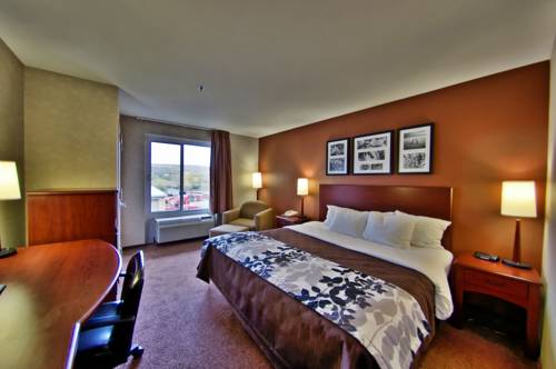 Imagen de la habitación del Hotel Sleep Inn & Suites Scranton Dunmore. Foto 11