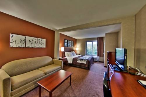 Imagen de la habitación del Hotel Sleep Inn & Suites Scranton Dunmore. Foto 14