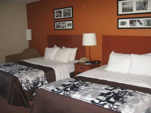 Imagen de la habitación del Hotel Sleep Inn & Suites Scranton Dunmore. Foto 15
