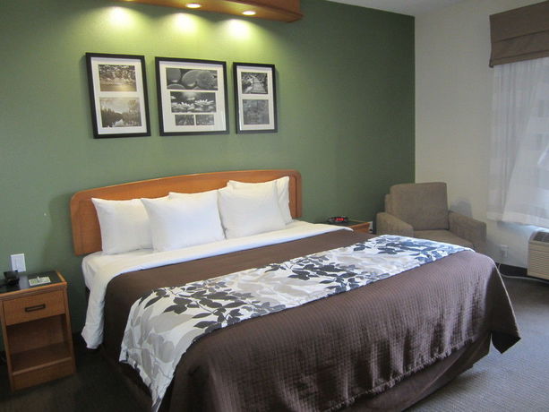 Imagen de la habitación del Hotel Sleep Inn and Suites Albemarle. Foto 5