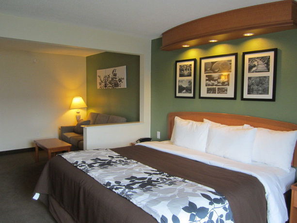 Imagen de la habitación del Hotel Sleep Inn and Suites Albemarle. Foto 6