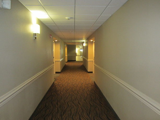 Imagen de los interiores del Hotel Sleep Inn and Suites Albemarle. Foto 12