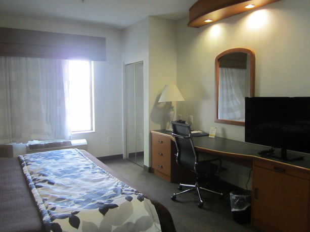 Imagen de la piscina del Hotel Sleep Inn and Suites Albemarle. Foto 15