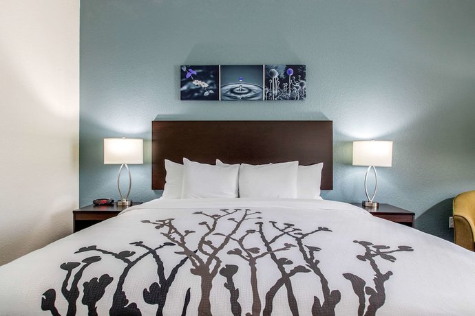 Imagen de la habitación del Hotel Sleep Inn and Suites Ankeny - Des Moines. Foto 14