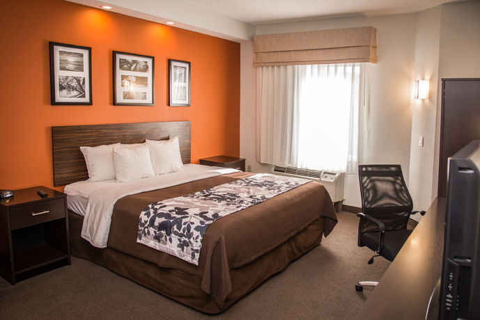 Imagen de la habitación del Hotel Sleep Inn and Suites At Concord Mills. Foto 6