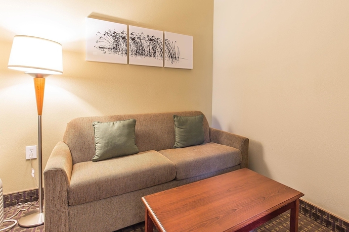 Imagen de la habitación del Hotel Sleep Inn and Suites At Kennesaw State University. Foto 5