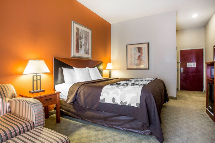 Imagen de la habitación del Hotel Sleep Inn and Suites Athens. Foto 10