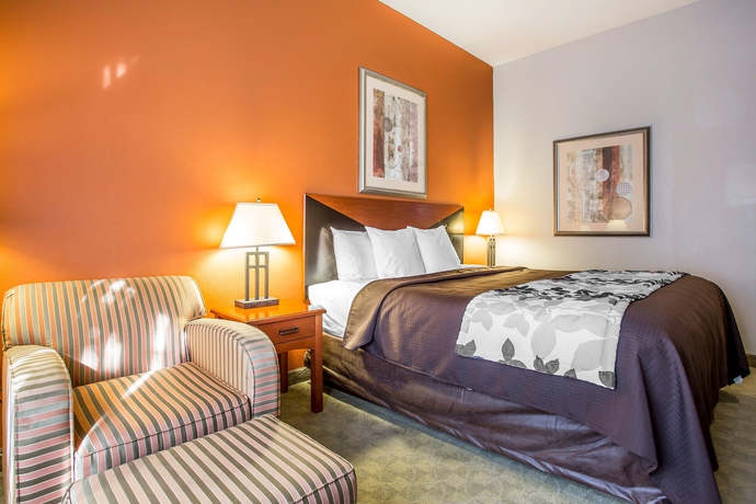 Imagen de la habitación del Hotel Sleep Inn and Suites Athens. Foto 12