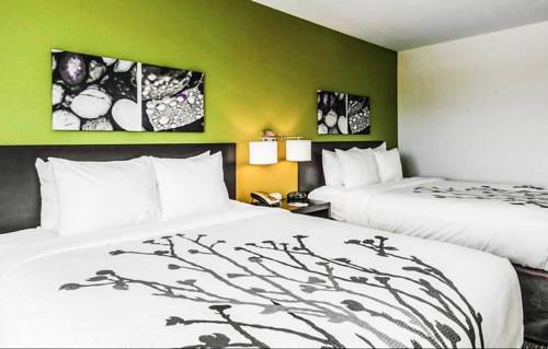 Imagen de la habitación del Hotel Sleep Inn and Suites, Columbia. Foto 4