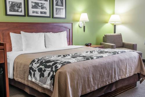 Imagen de la habitación del Hotel Sleep Inn and Suites Conference Center and Water Park. Foto 6