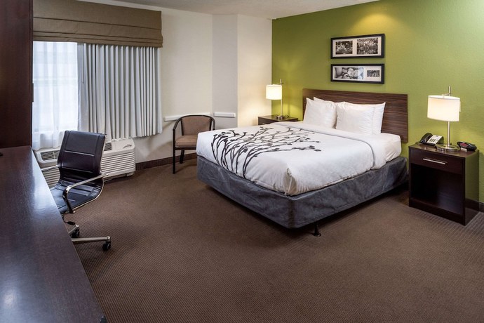 Imagen de la habitación del Hotel Sleep Inn and Suites Cross Lanes - South Charleston. Foto 10