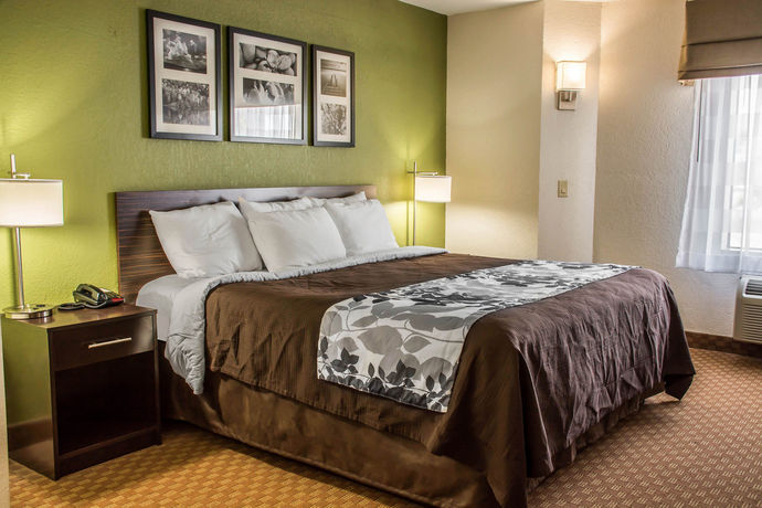 Imagen de la habitación del Hotel Sleep Inn and Suites Cullman I-65 Exit 310. Foto 6