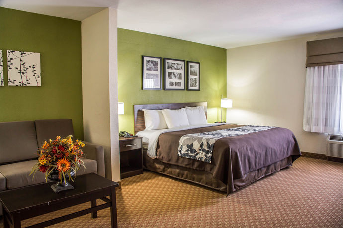 Imagen de la habitación del Hotel Sleep Inn and Suites Cullman I-65 Exit 310. Foto 8
