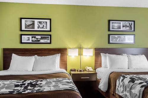 Imagen de la habitación del Hotel Sleep Inn and Suites Dothan North. Foto 4