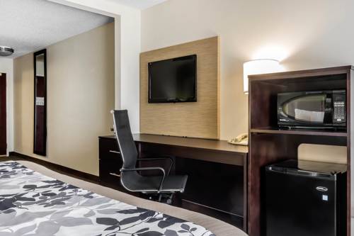 Imagen de la habitación del Hotel Sleep Inn and Suites Dothan North. Foto 8