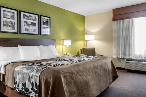 Imagen de la habitación del Hotel Sleep Inn and Suites Dothan North. Foto 9