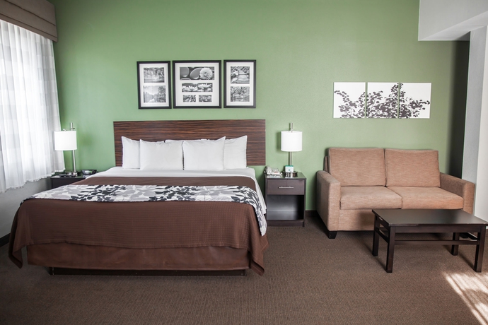 Imagen de la habitación del Hotel Sleep Inn and Suites Downtown Inner Harbor. Foto 10