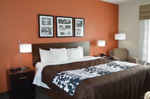 Imagen de la habitación del Hotel Sleep Inn and Suites, Elk City. Foto 4