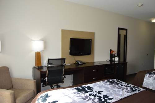 Imagen de la habitación del Hotel Sleep Inn and Suites, Elk City. Foto 8